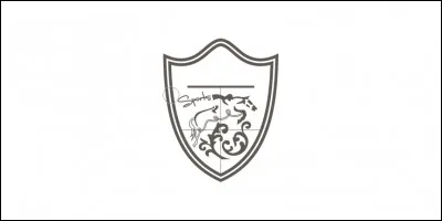 À quelle marque appartient ce logo ?