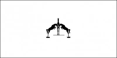 À quelle marque appartient ce logo ?