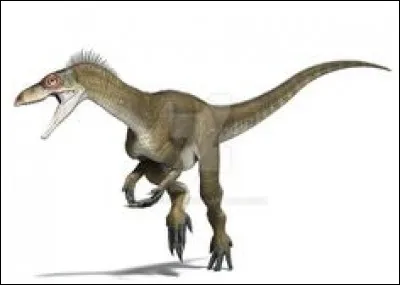 Comment s'appelle-t-il ?