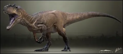 Combien de doigts a un Allosaurus ?