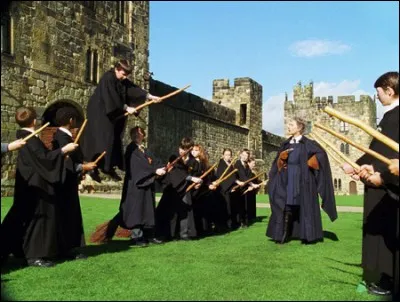 Combien y a-t-il de joueurs dans les équipes de Quidditch ?