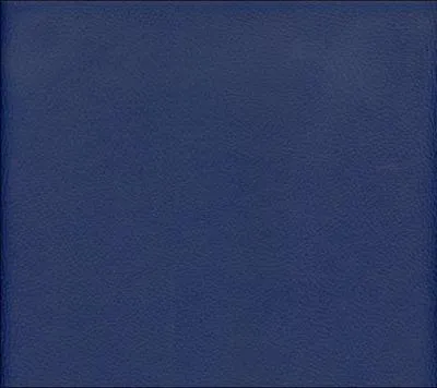 Quel est ce type de 'bleu' ?