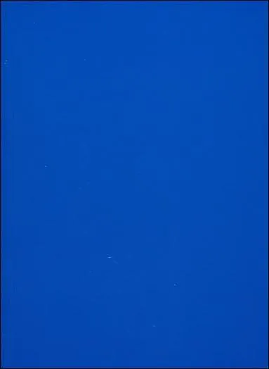 Quel est ce type de 'bleu' ?