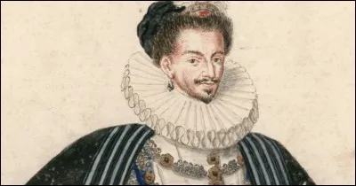 La Renaissance apporte bien sûr au XVIe s. quelques changements : on parle déjà, notamment dans le peuple, de perte de la masculinité. Qui en sont les représentants ?