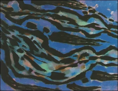 Dans quel quartier de Marseille se situe l'action de la série télévisée "Plus belle la vie" ?