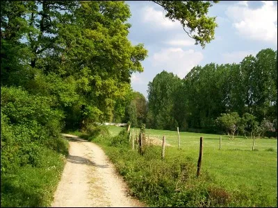 Où préfères-tu aller ?