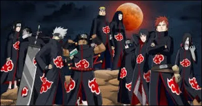 Comment s'appelle le projet de l'Akatsuki ?