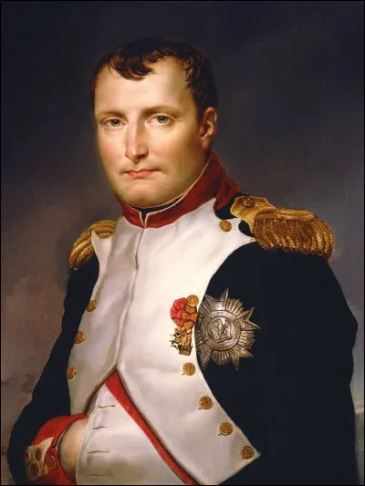 Pourquoi Napoléon Bonaparte gardait-il la main dans sa veste, ce que l'on voit sur les tableaux ?