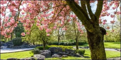 En 2019, quand est arrivé le printemps ?