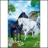 Comment s'appelle l'amoureux de Bella ?