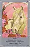 Quel cheval est entour de rose ?