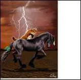 Quel est le meilleur ami de Thunder ?