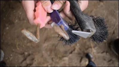 Comment appelle-t-on le fait de brosser le cheval ?