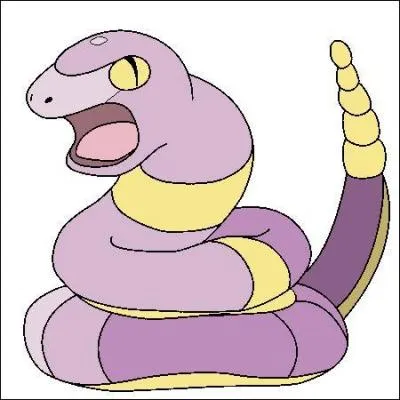 D'où vient son nom ?