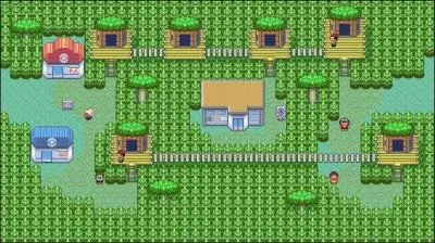 D'où vient le nom de cette ville ?