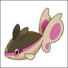 D'où vient son nom ?