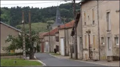Je vous emm&egrave;ne dans le Grand-Est, &agrave; Han-sur-Meuse. Village du parc naturel r&eacute;gional de Lorraine, il se situe dans le d&eacute;partement ...