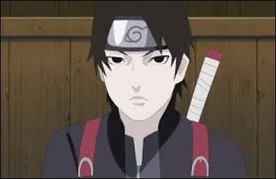 Quelle est la capacité de Saï ?