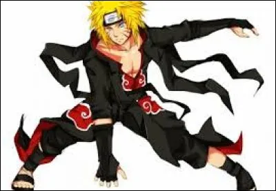 Quel dessin est illustré sur la tenue de Akatsuki ?