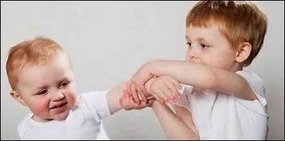 Justus a eu un frère l'année dernière :