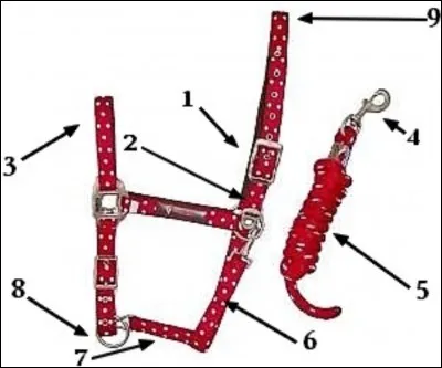 À quoi correspond le n°7 ?