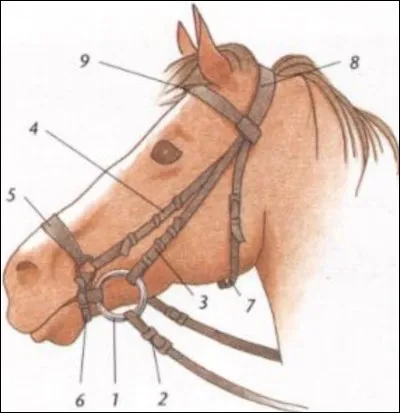 À quoi correspond le n°8 ?