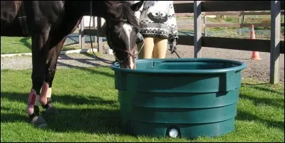 Les chevaux boivent environ combien de litres d'eau par jour ?