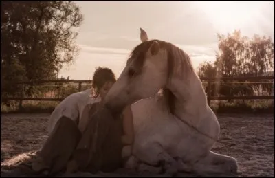 Environ combien de temps faut-il pour créer un lien avec votre cheval/poney ?