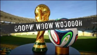 Quel pays a remporté la première coupe du monde de football en 1930 ?