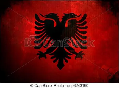 Ce drapeau est de quel pays ?