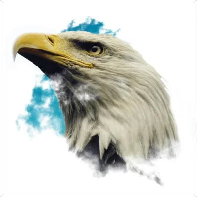 Quel signe de reconnaissance l'aigle utilisait-il ?