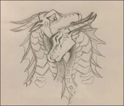 Passons à un autre type de questions...
Imaginons : tu es un dragonnet Aile du Ciel. Tu découvres que tu as des pouvoirs animus. Tu sais que ton clan tue tous les animus Aile du Ciel.
Que fais-tu ?