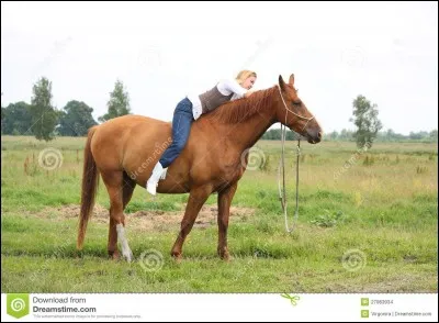 Comment appelle-t-on ce type de monte ?