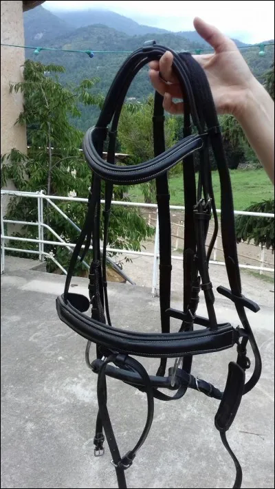 Comment s'appelle cet outil ?