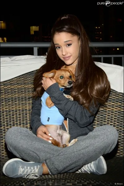 Combien de chien a-t-elle ?