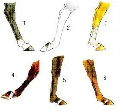 Comment s'appelle le n°3 ?