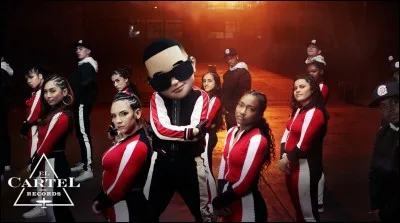 Avec quelle artiste féminine Daddy Yankee & Snow ont-ils fait un remix pour le titre ci-dessus ?