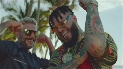 Avec quelle artiste féminine Pedro Capo & Farruko ont-ils fait un remix pour le titre ci-dessus ?