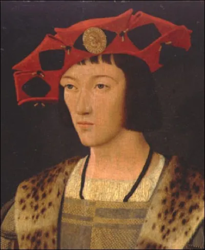 Date de règne : 1483-1498
Dynastie : Valois 
Surnom : L'Affable 
Épouse : Anne de Bretagne
Evénement : Début de la première guerre d'Italie 
Quel est ce roi ?