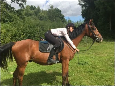 Quel caractère as-tu ?