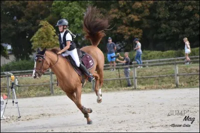 Tu préfères être...