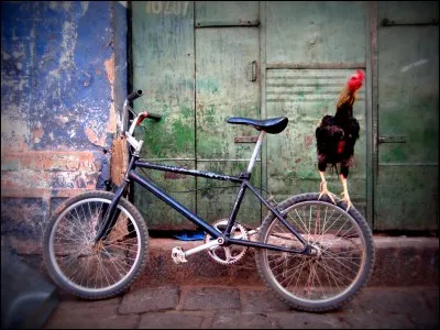 Quelle est l'expression qui désigne la bicyclette ?