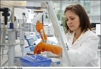 Quelle est ta plus grande qualité ?