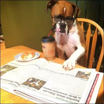 Ta matière préférée est...