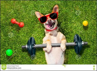 Si tu as du temps libre, tu :