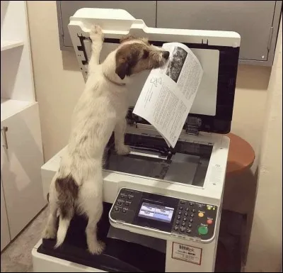 C'est l'heure d'aller à l'école...