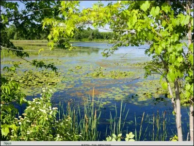 Dans quelle province canadienne se situe le parc national de Plaisance ?