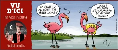 Que font les flamants roses pour séduire leurs partenaires ?