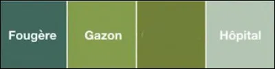 Celui-ci peut se retrouver dans la "Fougère" comme dans le "Gazon", mais pas à l'"Hôpital" !