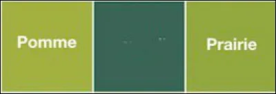 Ce soir, "elle sera la [...] pour aller danser !" C'est encore une sorte de vert qu'il faut trouver.